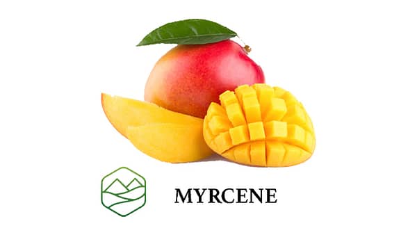 Myrcene 2